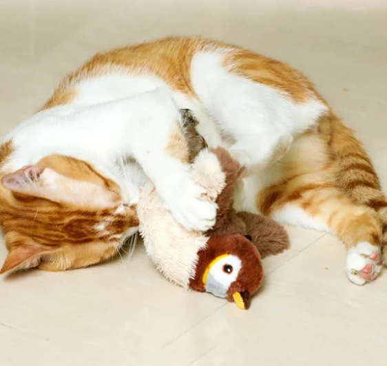 Chirpy™ - Uccellino Interattivo per Gatti