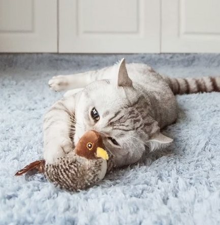 Chirpy™ - Uccellino Interattivo per Gatti